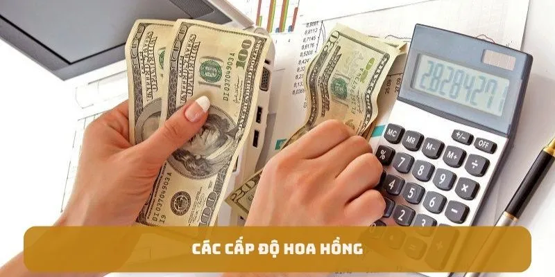 Các cấp độ hoa hồng